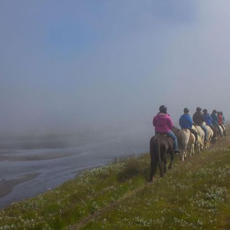 Húsey Hostel&Horsefarm Egilsstaðir Eksteriør billede