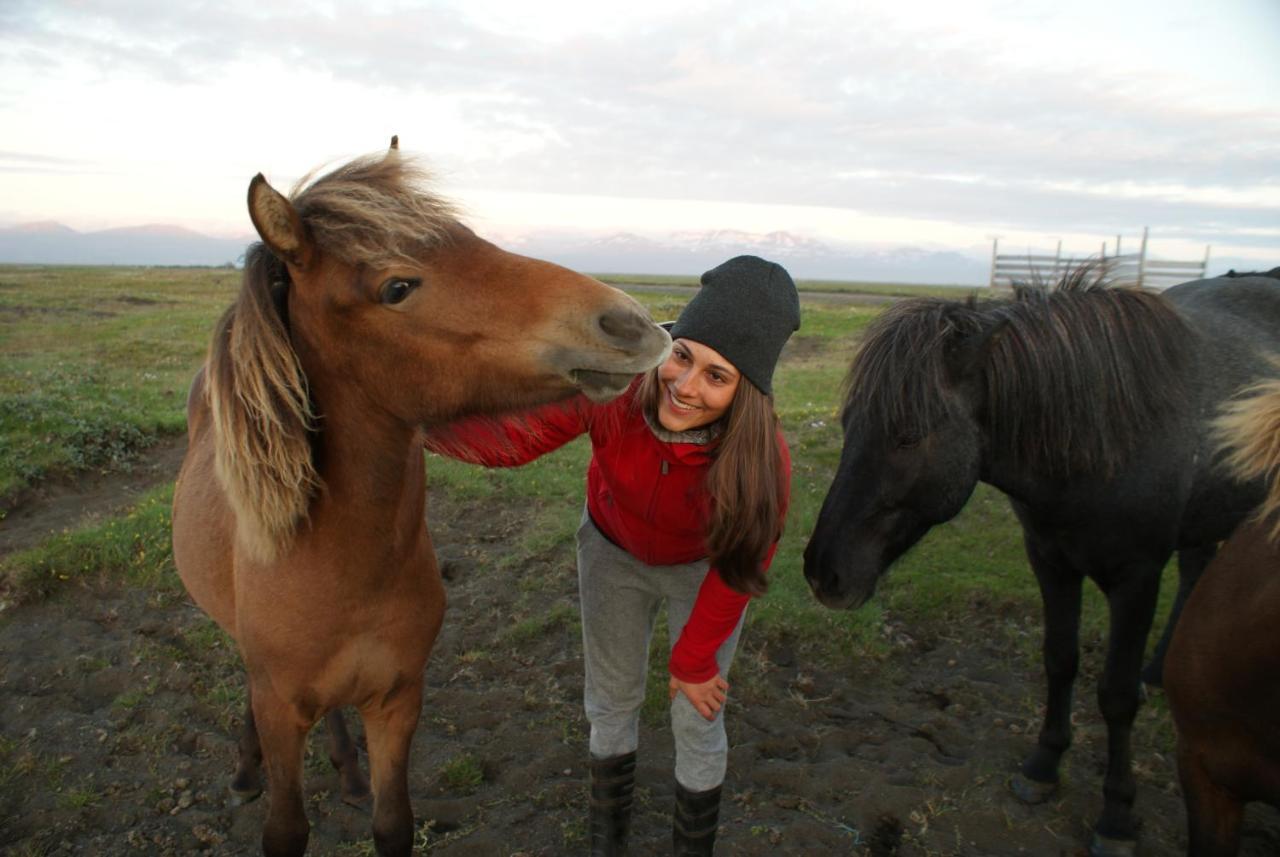 Húsey Hostel&Horsefarm Egilsstaðir Eksteriør billede