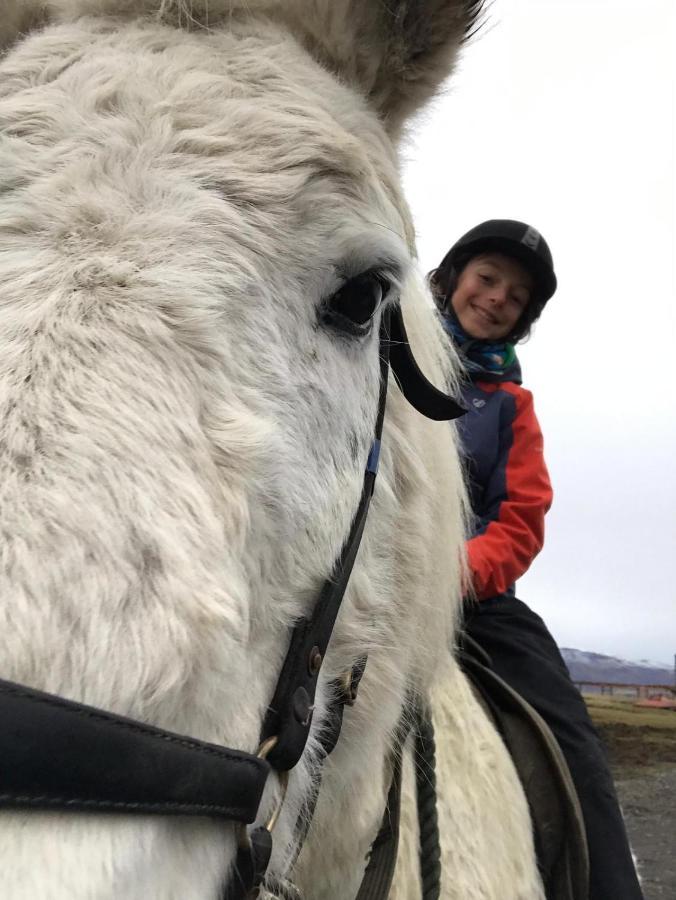 Húsey Hostel&Horsefarm Egilsstaðir Eksteriør billede