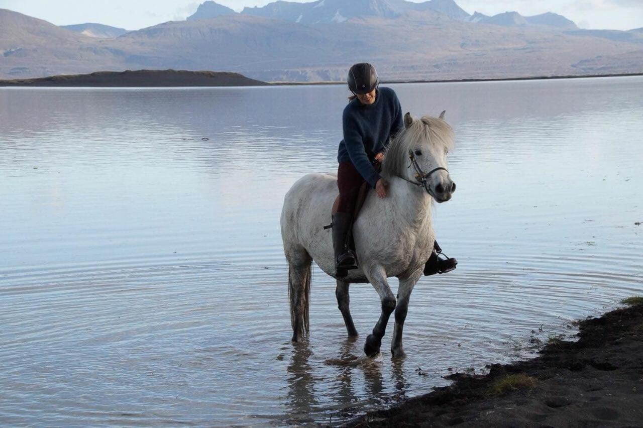 Húsey Hostel&Horsefarm Egilsstaðir Eksteriør billede