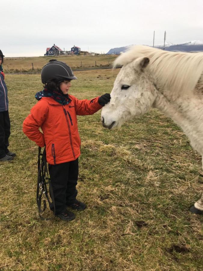 Húsey Hostel&Horsefarm Egilsstaðir Eksteriør billede