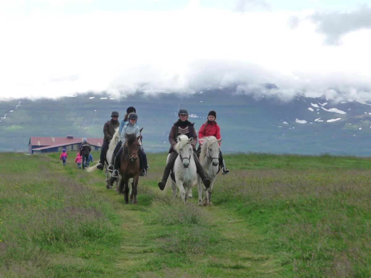 Húsey Hostel&Horsefarm Egilsstaðir Eksteriør billede