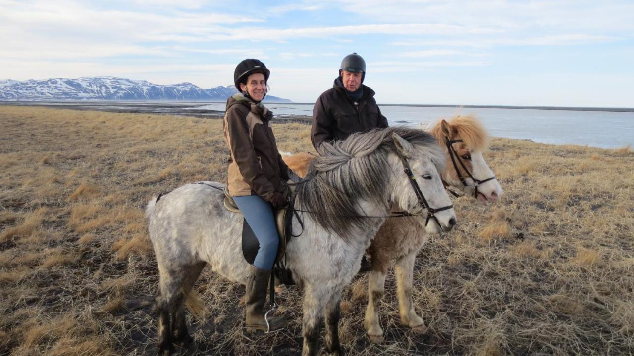 Húsey Hostel&Horsefarm Egilsstaðir Eksteriør billede