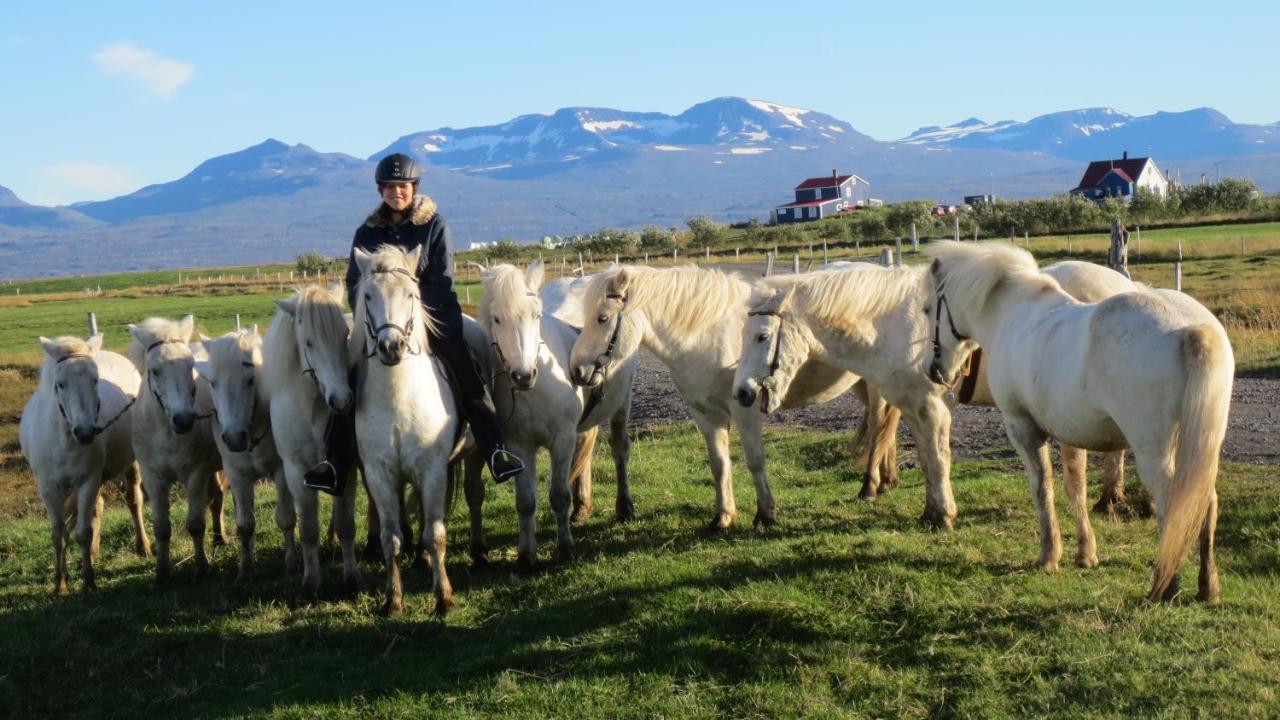 Húsey Hostel&Horsefarm Egilsstaðir Eksteriør billede